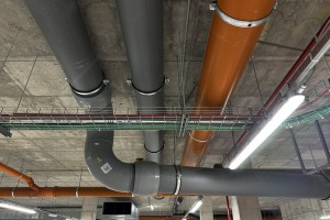 IMG_3145.JPEG
