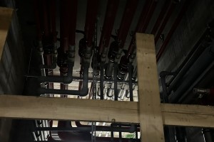 IMG_2713.JPEG