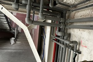 IMG_2706.JPEG