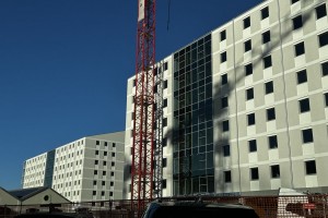 IMG_3152.JPEG