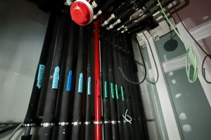 IMG_2696.JPEG