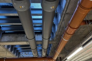 IMG_3144.JPEG